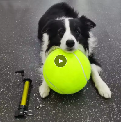 Pet Oversized Ball Toy